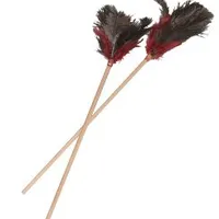 Cat Toy Wooden Colorful Wand Teaser Rozměr 55cm