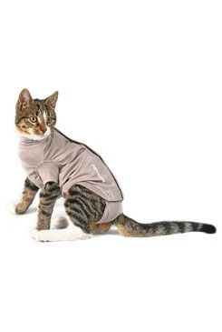 Body Suit Step'n Go Cats XS beige BUSTER