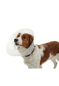 Límec ochranný BUSTER plastový Classic Collar Rozměr 20cm