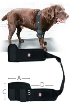 Vendaje KRUUSE Rehab Pro para codo de perro M izquierdo