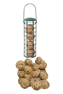 Bolas de sebo con semillas 60x90g sin malla + comedero
