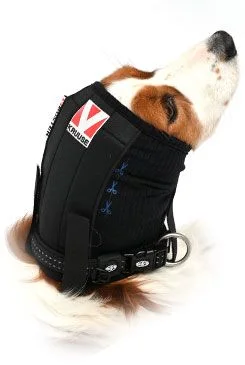 Vendaje para orejas y cabeza de perro BUSTER L