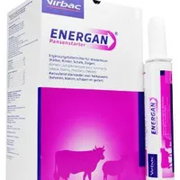 Energan Pansenstarter 12x325g