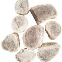 Fallow Deer Antler Treat for Rodents Gramáž 30g