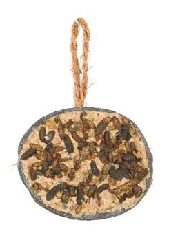 Cesta de sebo con insectos para pájaros Gramáž 250g