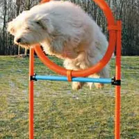 AGILITY kruh proskakovací 78x115cm modrá oranžová