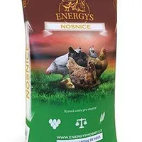 ENERGYS Midi Chicken Feed Gramáž 10kg