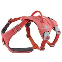 Safeguard ECO Harness Strawberry 40 50