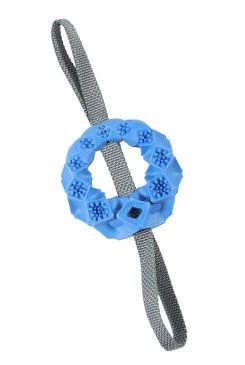 Dog Toy 4SEASONS OUTDOOR TRP Ring Blue