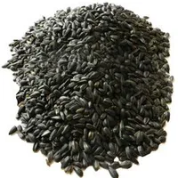 Black Sunflower Seeds Gramáž 20kg