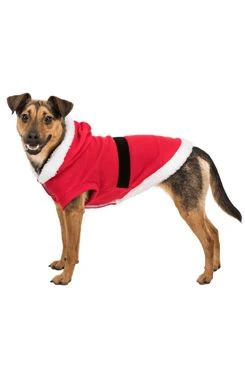 Disfraz navideño Papá Noel rojo S 35 TR Rozměr 52cm