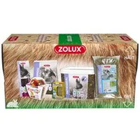 Cardboard Carrier Box for Rodents L