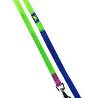 Nylon leash CLUB G 10mmx120cm green-blue FP Počet 1ks