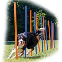 AGILITY postes slalom 3 azul naranja TR Počet 12ks, Rozměr 115cm