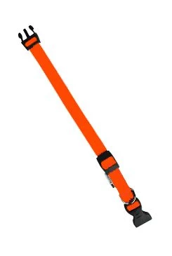 Nylon collar CLUB C 56cm x 20mm orange FP Počet 1ks