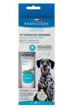 Dental Kit toothpaste + toothbrush for dogs