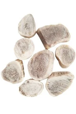 Fallow Deer Antler Treat for Rodents Gramáž 30g