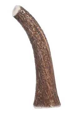Jelení paroží celé HARD nad Gramáž 20kg