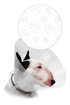 Collar protector CVET transparente con huellas Počet 1ks, Rozměr 10cm