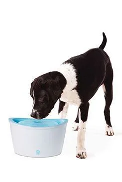 Fuente DOGIT plástico grande Objem 6l