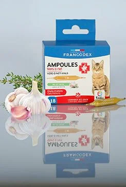 Intestinal Comfort ampollas gato gatito 18x1ml