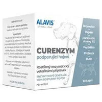 Curenzym Healing Support 80 caps