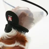 Límec ochranný BUSTER plastový Complete Collar Rozměr 10cm