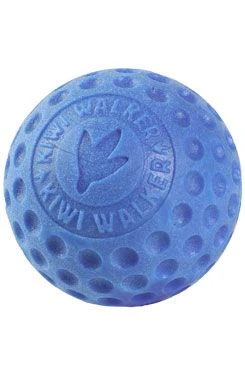 Dog Toy BALL MINI Floating TPR Blue Kiwi