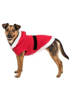 Disfraz navideño Papá Noel rojo M 45 TR Rozměr 62cm