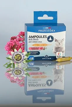 Anti stress ampulky kočka 18x1ml Stáří Kotě