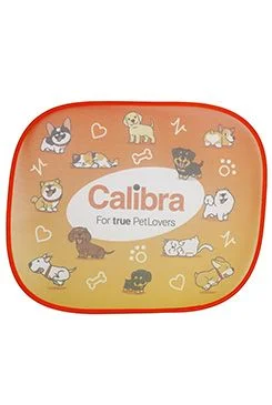 Set of two car sun shades