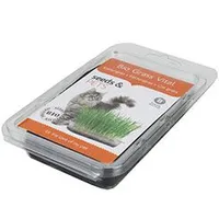 Cat Grass from Organic Seeds KAR
