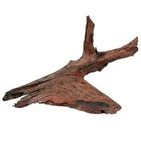 Raíz de manglar para acuario y terrario M 25 Rozměr 40cm