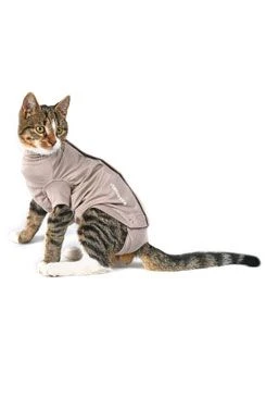 Body Suit Step'n Go Cats 3XS beige BUSTER