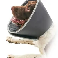 BUSTER Foam Collar Protective Collar Počet 1ks, Rozměr 7,5cm