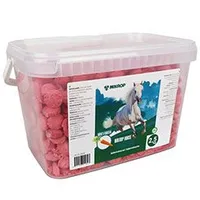 Horse golosina para caballos cubo Zanahoria Gramáž 2,5kg