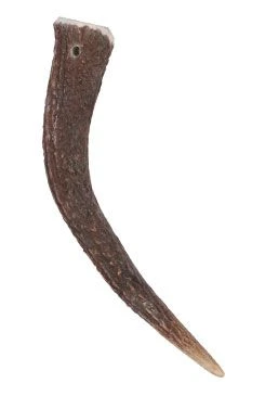 Dog Treat Whole Deer Antler HARD for Gramáž 15kg
