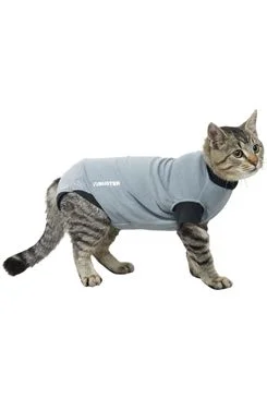 Obleček EasyGo Body Cat S BUSTER Rozměr 43,5cm