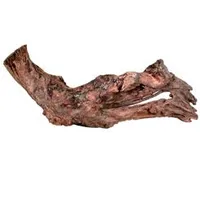 Raíz de Mangle para acuario y terrario S 15 Rozměr 25cm