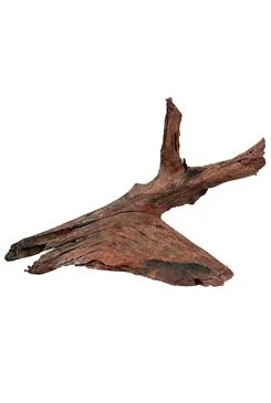Raíz de manglar para acuario y terrario M 25 Rozměr 40cm