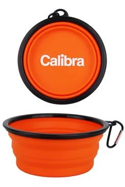 Foldable travel bowl