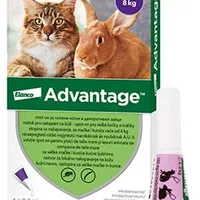 Advantage para gatos grandes y conejos Gramáž 80mg, Objem 8ml, Počet 4x0