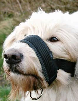 Bozal de fijación de nylon acolchado para perro L 18 TR Rozměr 30cm