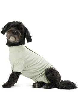 BUSTER Body Suit Step'n Go Dog L Green Recovery Suit