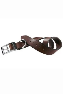 Collar de cuero VIP C 27cm x 15mm marrón FP Počet 1ks