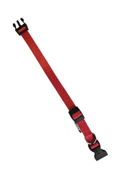 Nylon collar CLUB C 56cm x 20mm red FP Počet 1ks