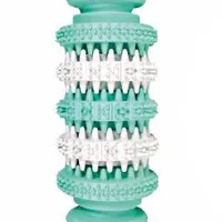 Dog Toy Bone with Mint Green White Rozměr 11,5cm