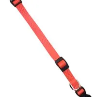 Obojek nylon CLUB C 44cmx 15 mm oranžový Počet 1ks