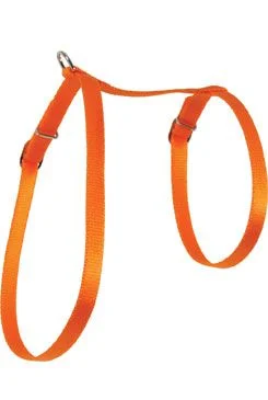 Arnés gato nylon naranja Rozměr 10mm
