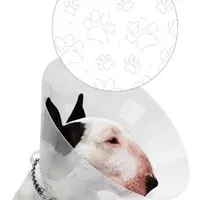 Collar protector CVET transparente con huellas Počet 1ks, Rozměr 10cm